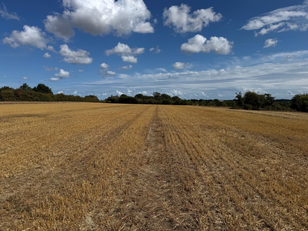 Lot: 61 - APPROXIMATELY FOUR AND A HALF ACRES - View of the land 3